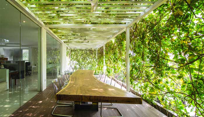 Thiết Kế Xanh – Biophilic Design Cho Không Gian Sống & Làm Việc